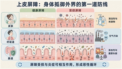 全球过敏患者为何越来越多（国际科技前沿）