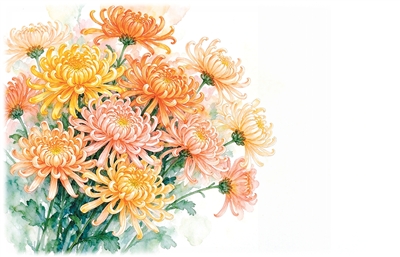 露寒凝秋燥 汤润养肺阴（食愈24节气）