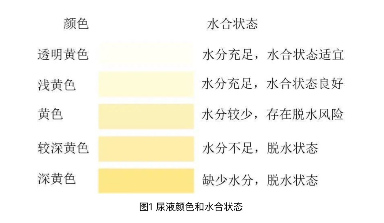 “喝大水”火了,疾控部门提醒:水喝多了,真会“中毒”-易网<a href=/ target=_blank class=infotextkey>健康养生</a>网 “喝大水”火了,疾控部门提醒:水喝多了,真会“中毒”