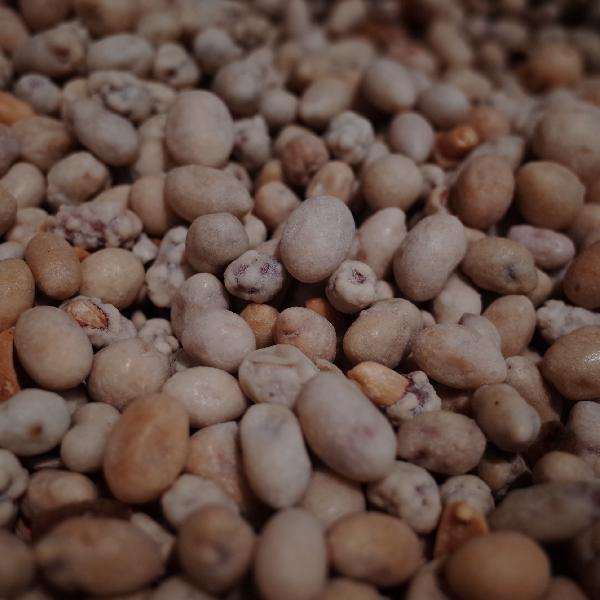 花生被关注！发现：吃得越多，肌少症老年人肌肉流失或越慢？