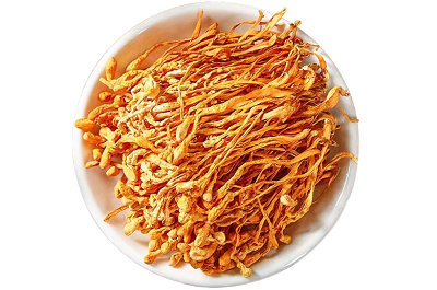 揭秘虫草花的食用方法 这10种方法吃虫草花最营养