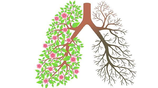 肺癌为何一查就是晚期?医生揭示:身体早已发出3个关键信号-易网健康<a href=/jkys/ target=_blank class=infotextkey>养生</a>网 肺癌为何一查就是晚期?医生揭示:身体早已发出3个关键信号