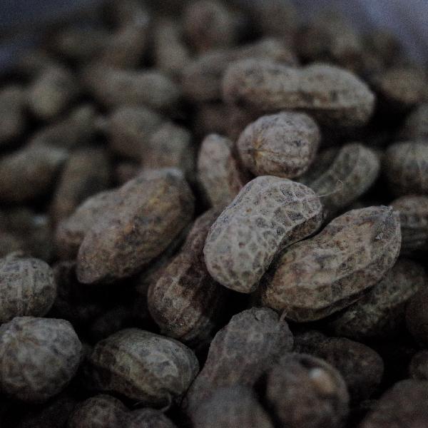 甲减患者注意!医生实测:花生别多吃,这3种坚果反而值得加餐-易网健康<a href=/jkys/ target=_blank class=infotextkey>养生</a>网 甲减患者注意!医生实测:花生别多吃,这3种坚果反而值得加餐