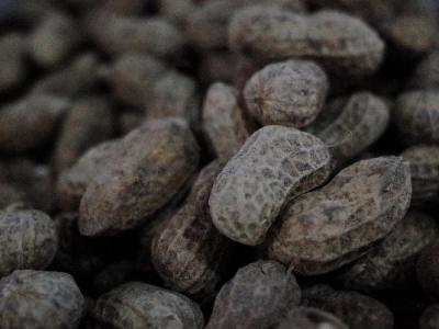 甲减患者注意！医生实测：花生别多吃，这3种坚果反而值得加餐