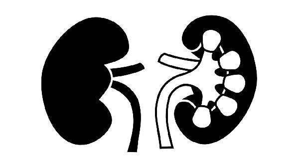 每吃一次，肾脏负担就加重一分？医生：4 种食物是肾病 “催化剂”