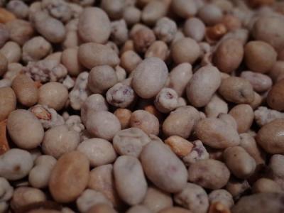冠心病一颗花生都不能吃？医生告诫：这4种坚果，心脏不好要少碰
