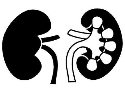 每吃一次，肾脏负担就加重一分？医生：4 种食物是肾病 “催化剂”