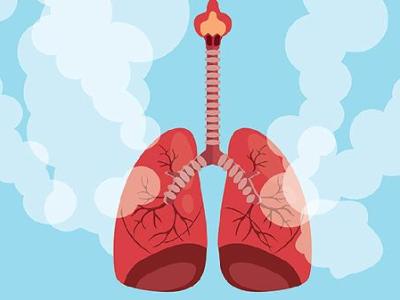 看懂结节报告：实性、低回声、边界不清，分别代表什么？一文讲透