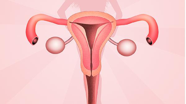 子宫肌瘤剔除术后怎样保养-易网健康<a href=/jkys/ target=_blank class=infotextkey>养生</a>网 子宫肌瘤剔除术后怎样保养