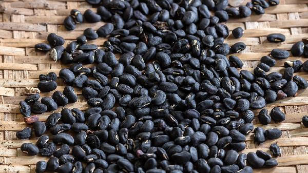 黑豆可以和什么一起打豆浆