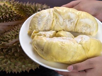 什么食物最养胃健脾