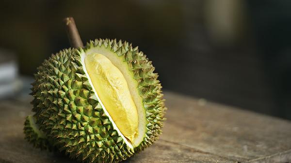 吃榴莲可以喝酸奶吗-易网健康<a href=/jkys/ target=_blank class=infotextkey>养生</a>网 吃榴莲可以喝酸奶吗