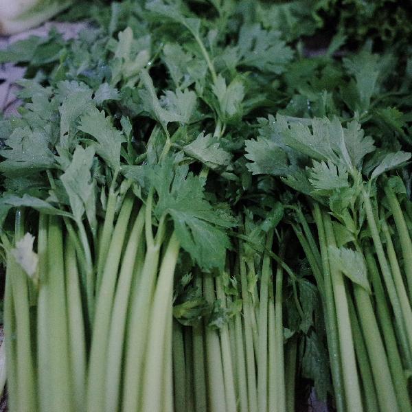 芹菜汁什么时间喝减肥效果好