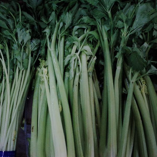 芹菜汁什么时间喝减肥