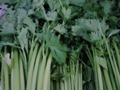 什么时间喝芹菜汁减肥