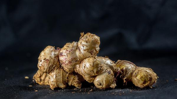 气血虚吃什么食物最好