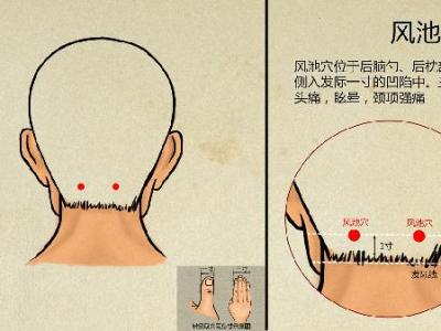 胃寒可以按手上穴位调理吗