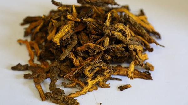 黄连花泡水喝的功效