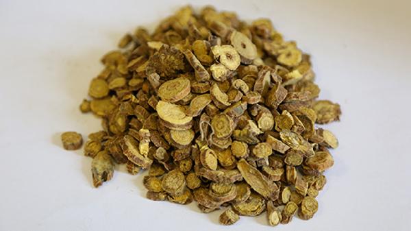 湿热质的人能喝黄芩吗