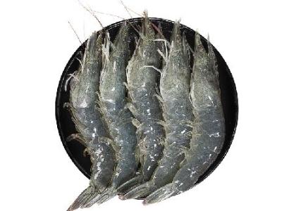 吃虾不能吃什么