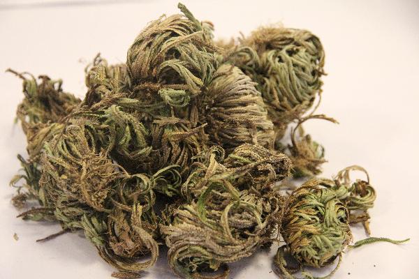 吃中药忌口的食物清单