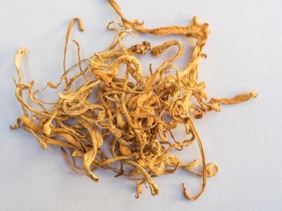 胆汁反流性胃炎吃什么中药好