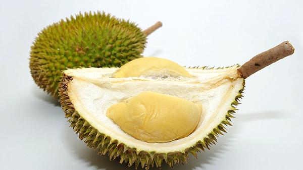 手脚冰凉吃什么食物好