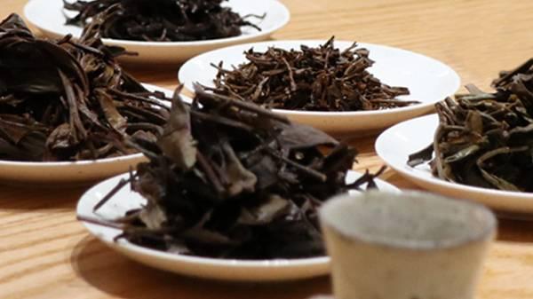 绿萝花茶的功效和作用是什么