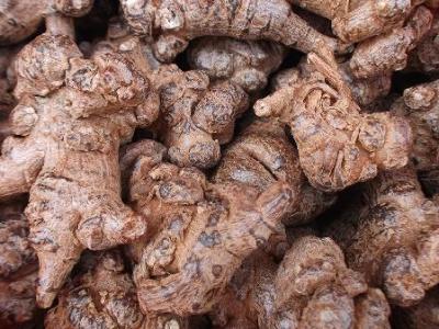 三七花的功效、禁忌以及吃法是什么