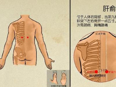 关于中医经络的问题