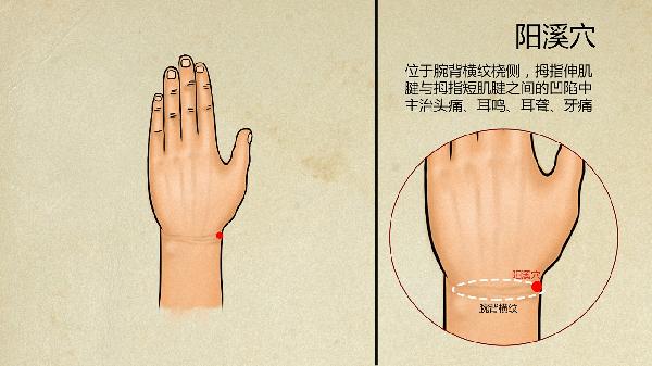 中医调理身体挂什么科