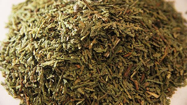 侧柏叶能治脂溢性脱发吗